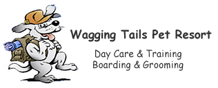 Wagging Tails Pet Resort 1